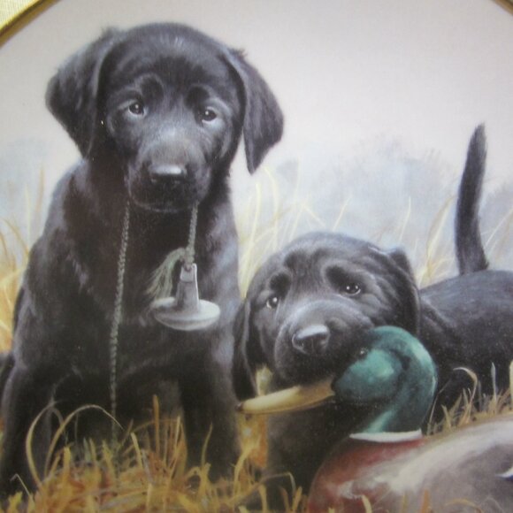 VTG FRANKLIN MINT PLATE, BEGINNERS LUCK, SIGNED - Picture 2 of 6